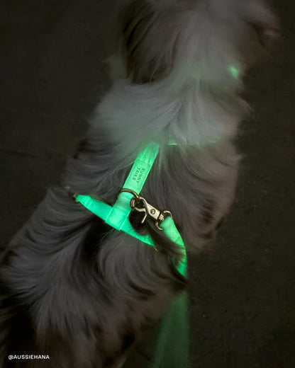 Correa Manos Libres 4 en 1 Lunar Glow para PerrosCorrea Manos Libres 4 en 1 Lunar Glow para Perros