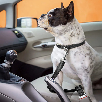 Cinturón de Seguridad Ajustable para Perros y Gatos