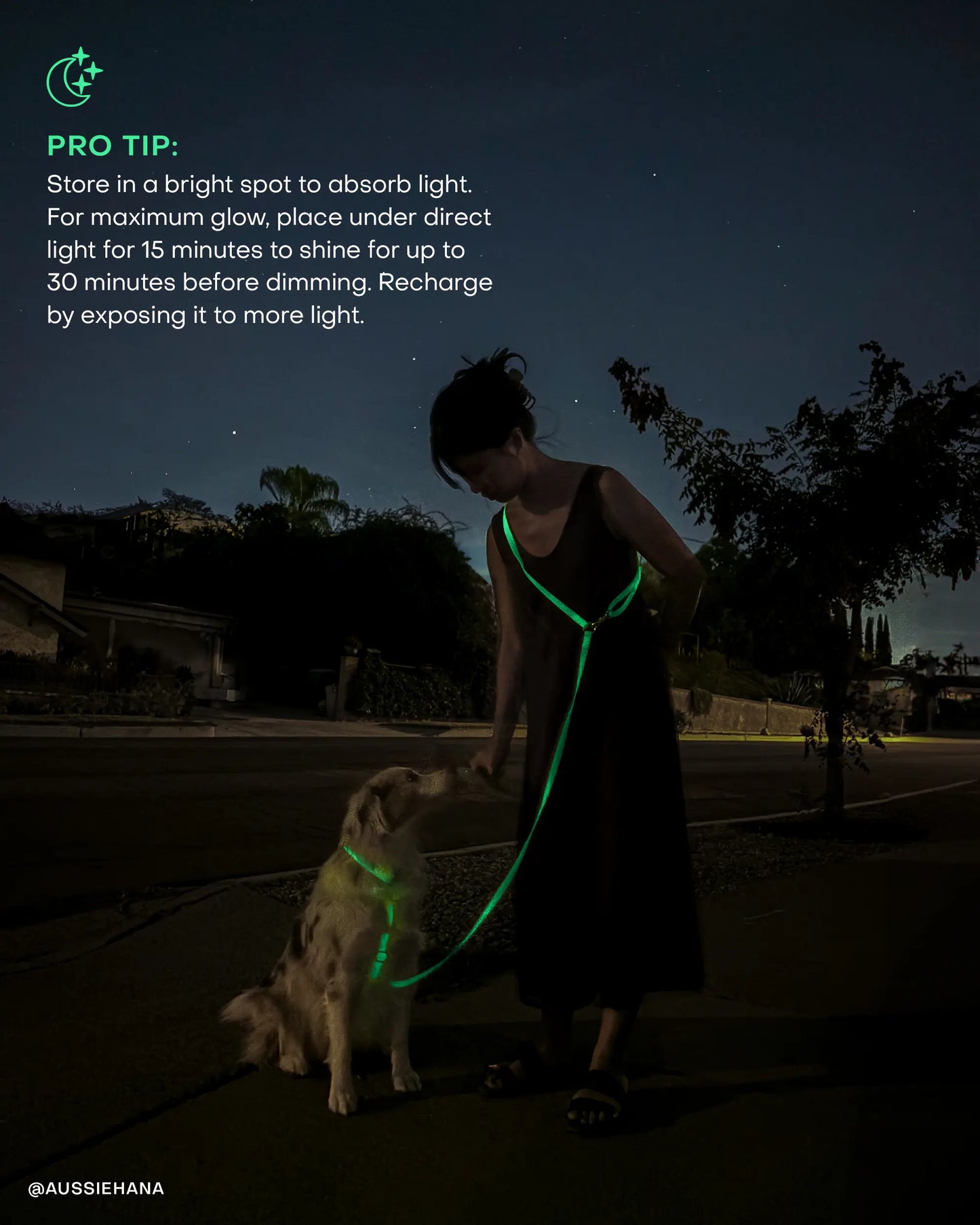 Correa Manos Libres 4 en 1 Lunar Glow para PerrosCorrea Manos Libres 4 en 1 Lunar Glow para Perros