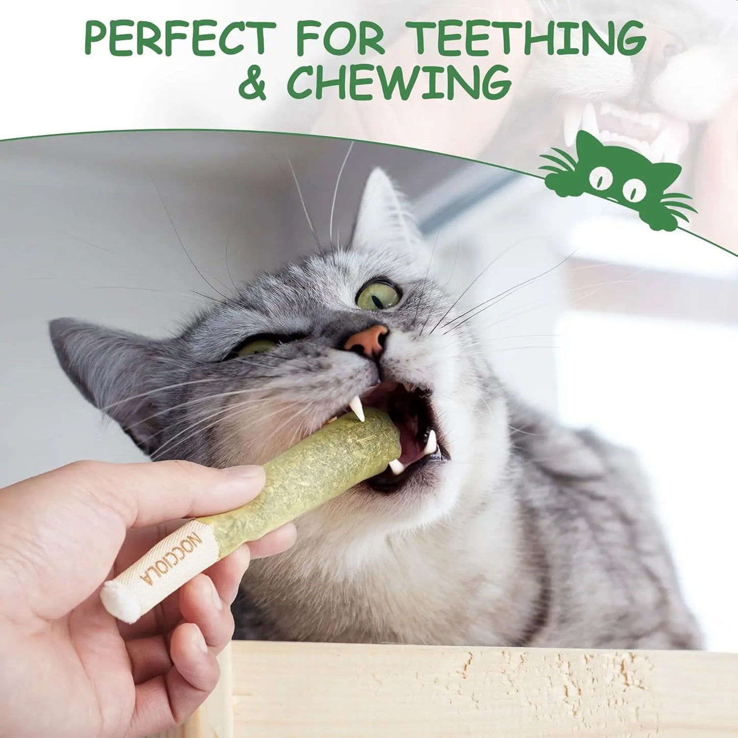 Pack de 3 Juguetes de Catnip Natural para Gatos