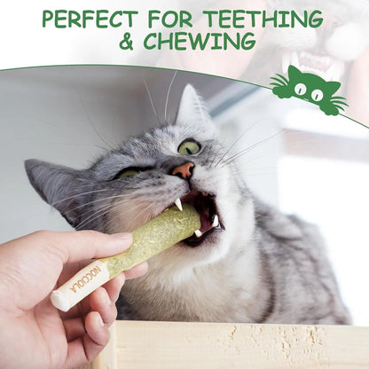 Pack de 3 Juguetes de Catnip Natural para Gatos