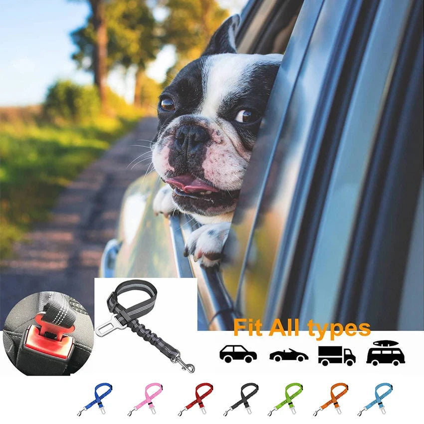 Cinturón de Seguridad Ajustable para Perros y Gatos