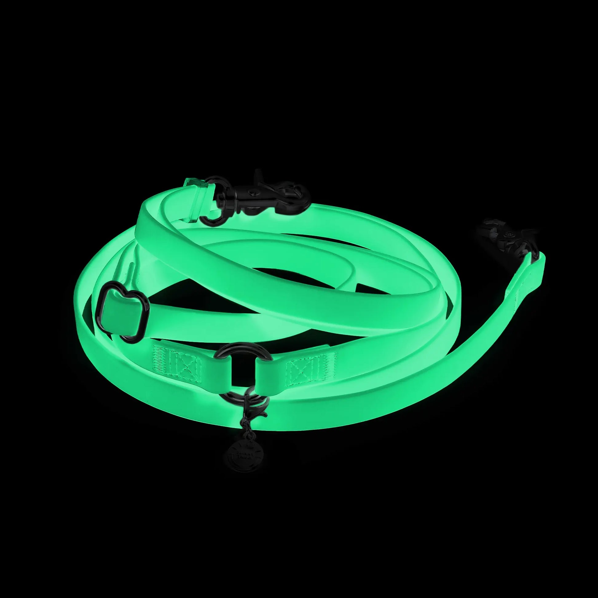 Correa Manos Libres 4 en 1 Lunar Glow para PerrosCorrea Manos Libres 4 en 1 Lunar Glow para Perros