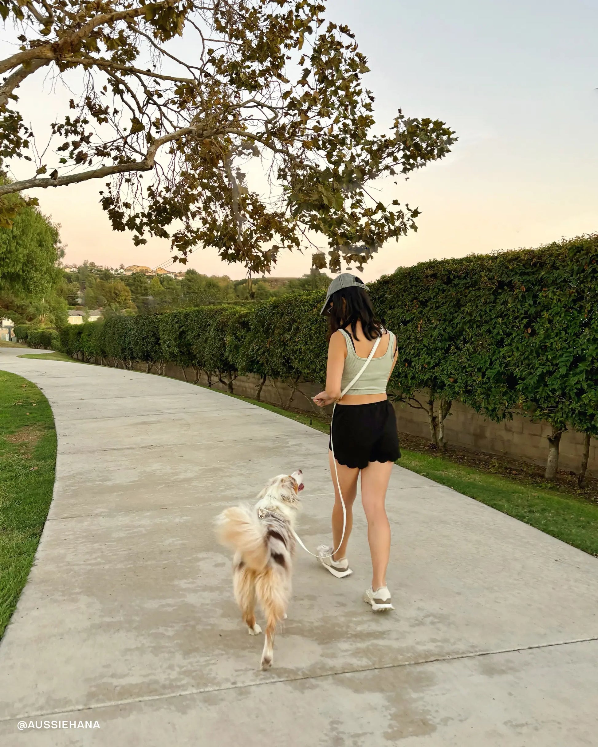 Correa Manos Libres 4 en 1 Lunar Glow para PerrosCorrea Manos Libres 4 en 1 Lunar Glow para Perros