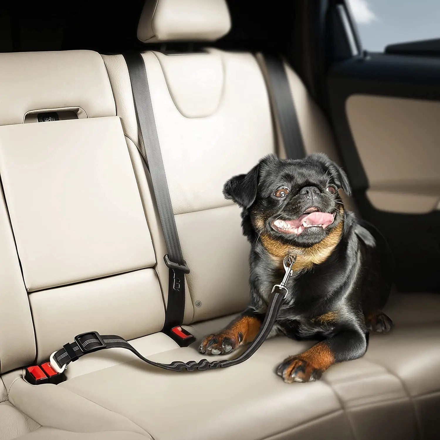 Cinturón de Seguridad Ajustable para Perros y Gatos