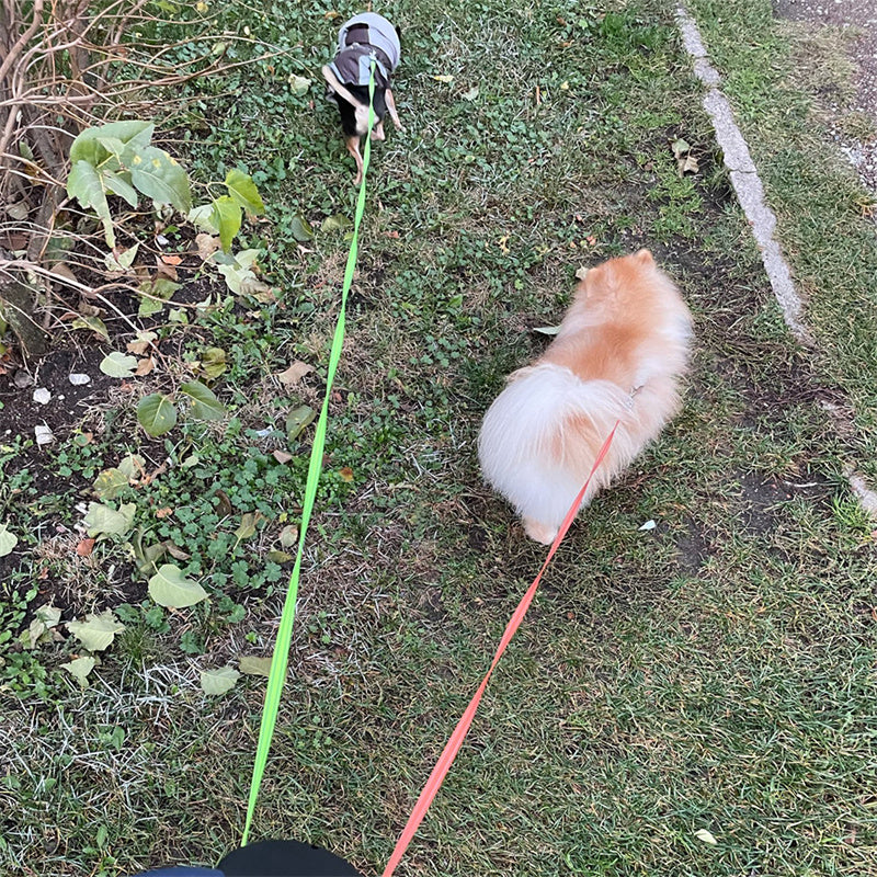Correa Retráctil Doble para Pasear Dos Perros